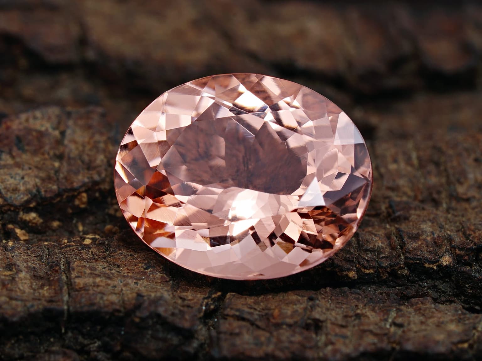 A large peach-pink oval-cut gemstone resting on textured tree bark